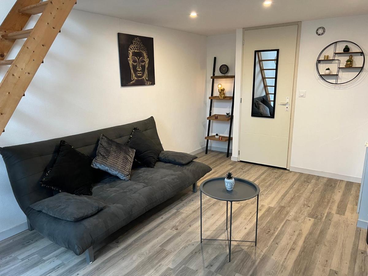 Appartement Cosy Proche Gare Tuluza Zewnętrze zdjęcie